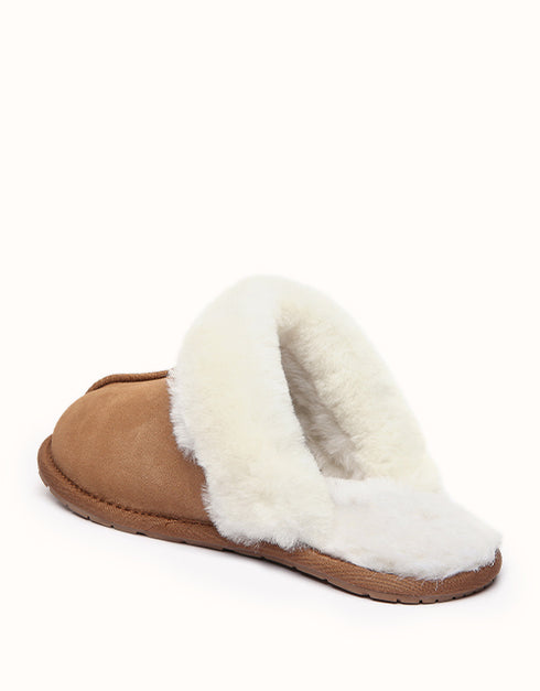 AUSTRALIAN SHEPHERD® ROSA