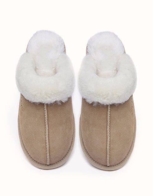 AUSTRALIAN SHEPHERD® ROSA