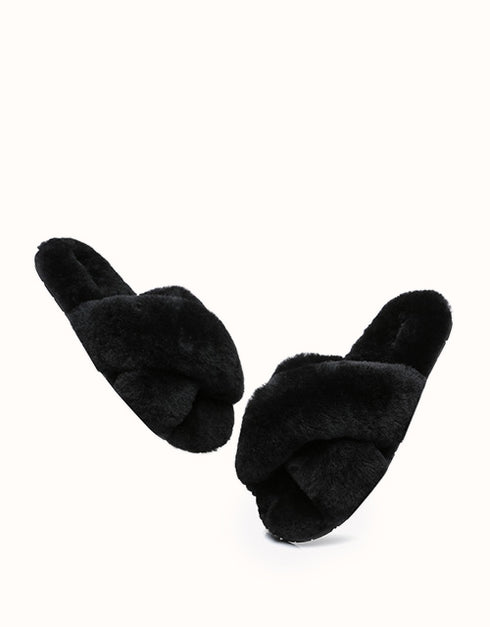 AUSTRALIAN SHEPHERD® LINTY