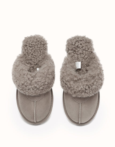 AUSTRALIAN SHEPHERD® Waffle Curly