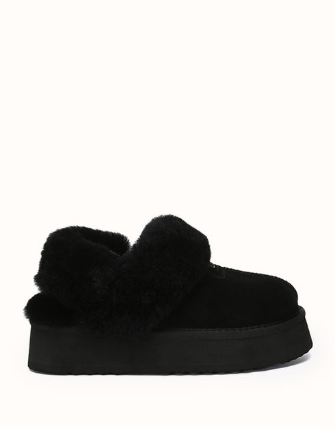 AUSTRALIAN SHEPHERD® Suzie Platform