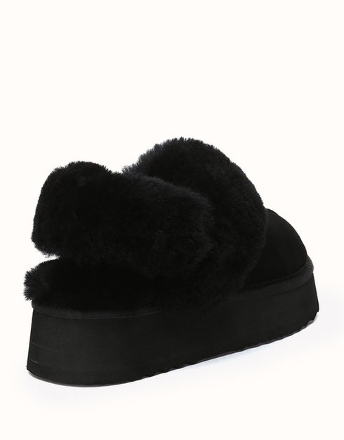 AUSTRALIAN SHEPHERD® Suzie Platform