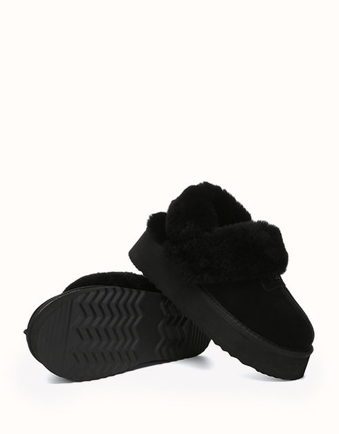 AUSTRALIAN SHEPHERD® Suzie Platform