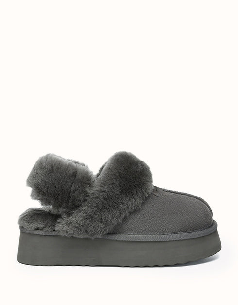 AUSTRALIAN SHEPHERD® Suzie Platform