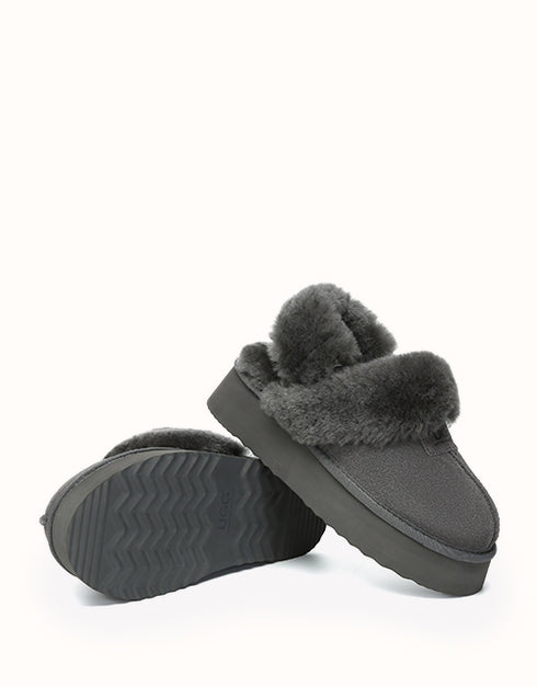 AUSTRALIAN SHEPHERD® Suzie Platform