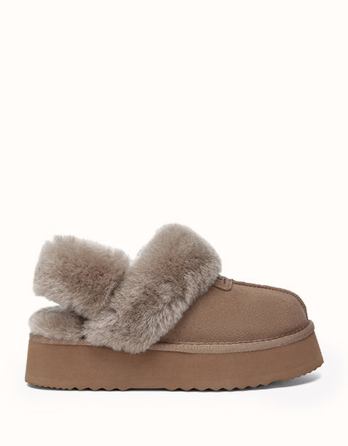 AUSTRALIAN SHEPHERD® Suzie Platform