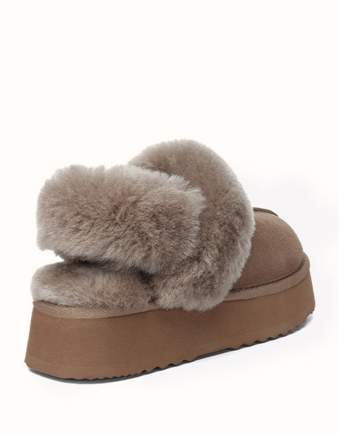 AUSTRALIAN SHEPHERD® Suzie Platform