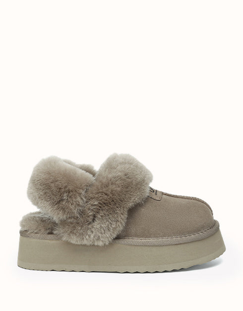 AUSTRALIAN SHEPHERD® Suzie Platform