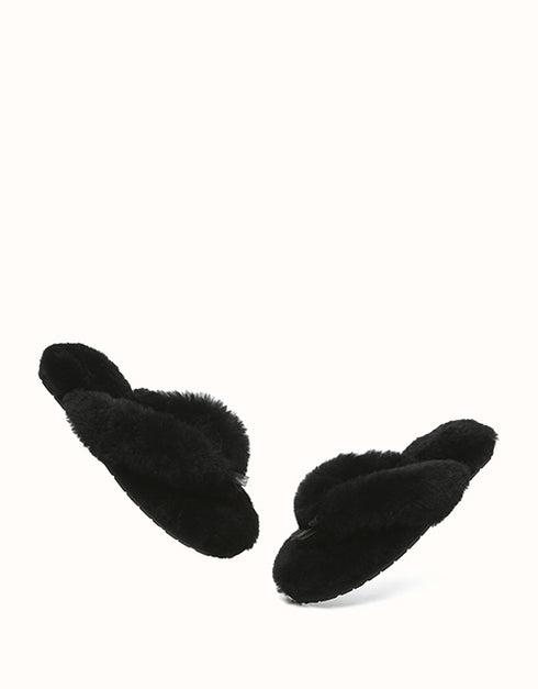 AUSTRALIAN SHEPHERD® Farah