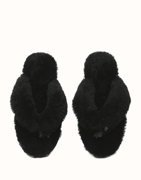 AUSTRALIAN SHEPHERD® Farah