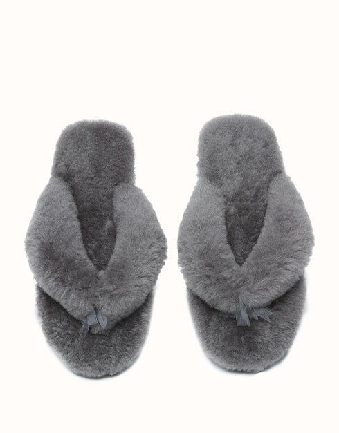 AUSTRALIAN SHEPHERD® Farah