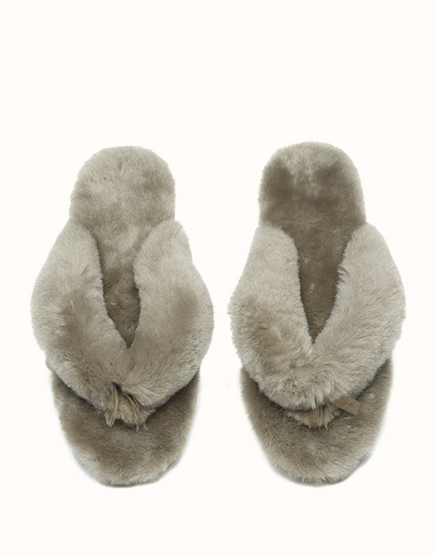 AUSTRALIAN SHEPHERD® Farah