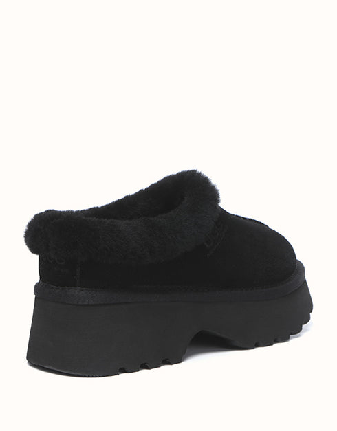 AUSTRALIAN SHEPHERD® Adrian