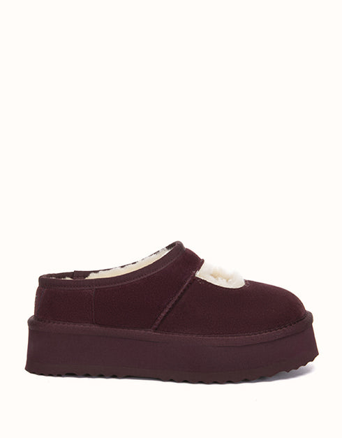 AUSTRALIAN SHEPHERD® Carmella