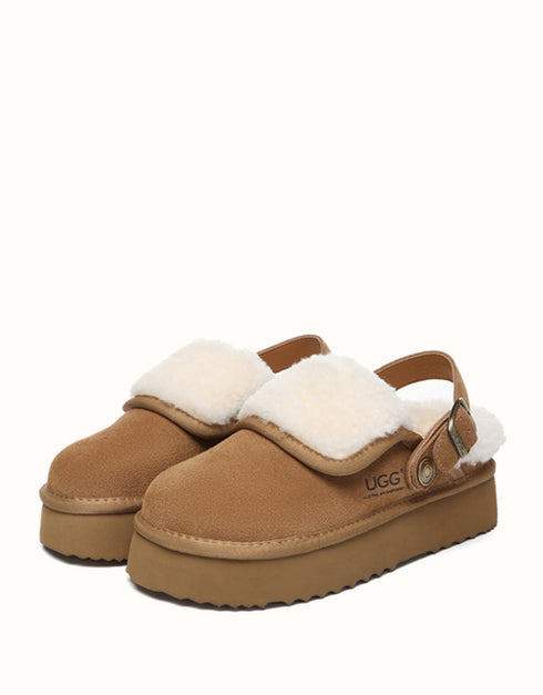 AUSTRALIAN SHEPHERD® Tenley Platform