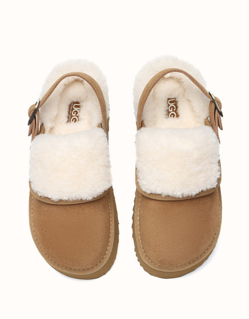 AUSTRALIAN SHEPHERD® Tenley Platform