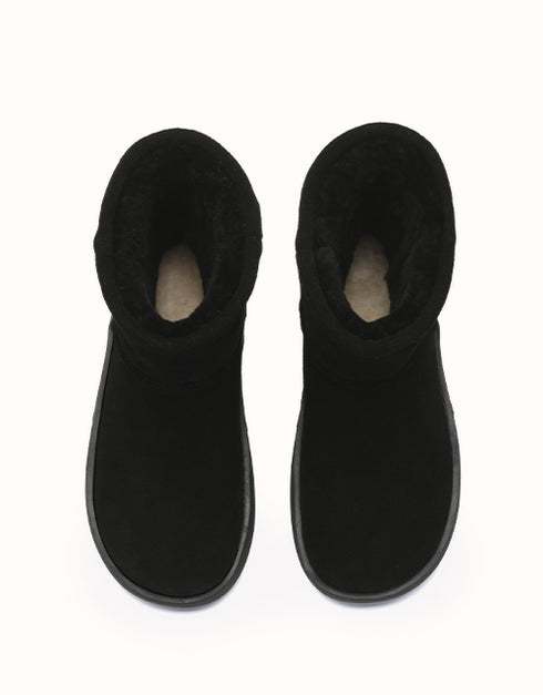 AUSTRALIAN SHEPHERD® Salma Short