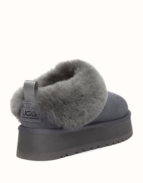 AUSTRALIAN SHEPHERD® Glacial