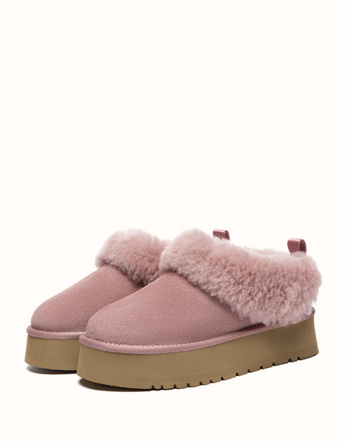 AUSTRALIAN SHEPHERD® Glacial