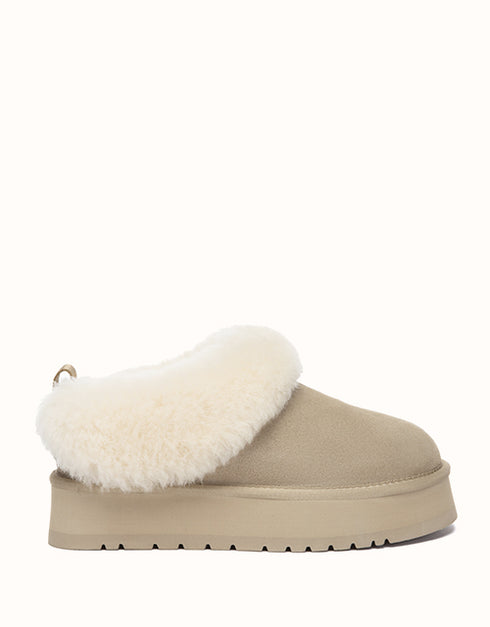 AUSTRALIAN SHEPHERD® Glacial