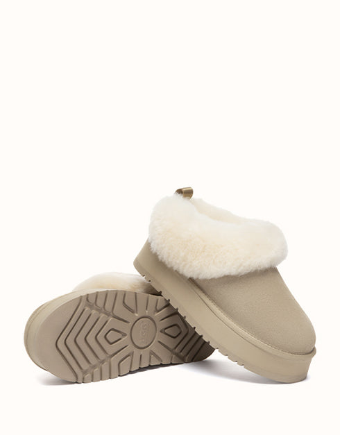 AUSTRALIAN SHEPHERD® Glacial