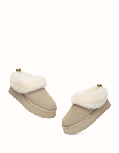 AUSTRALIAN SHEPHERD® Glacial