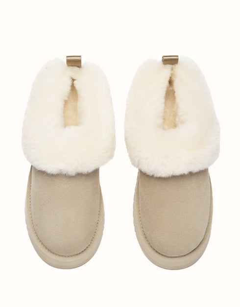 AUSTRALIAN SHEPHERD® Glacial