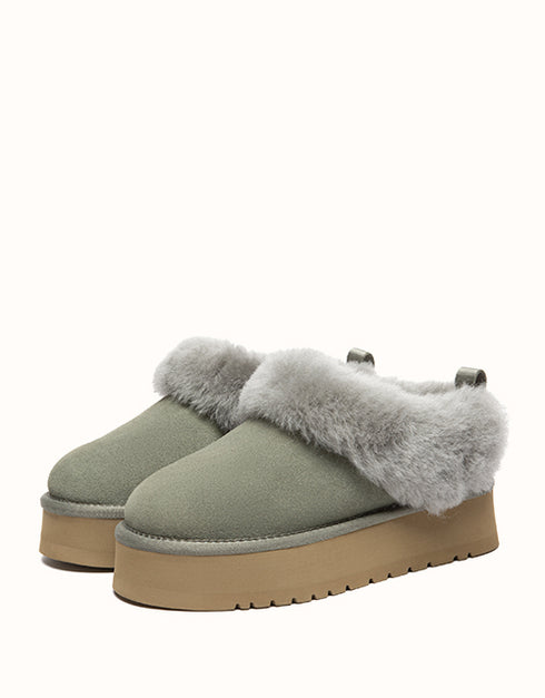 AUSTRALIAN SHEPHERD® Glacial