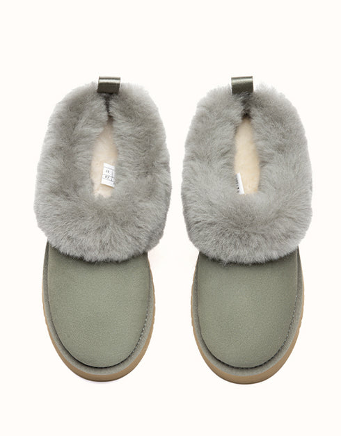 AUSTRALIAN SHEPHERD® Glacial