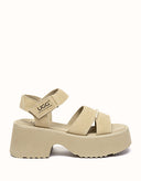 Australian Shepherd® Eive