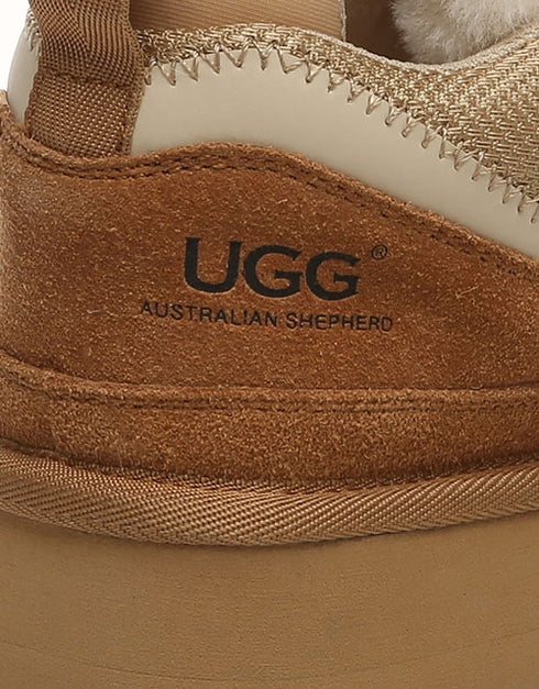 AUSTRALIAN SHEPHERD® Parkyr