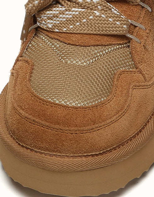 AUSTRALIAN SHEPHERD® Parkyr