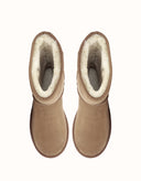 AUSTRALIAN SHEPHERD® SHORT CLASSIC