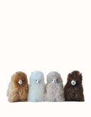 Auskin® Alpaca Huacaya Key Ring Alpaca Body Snap Hook