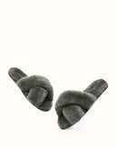 AUSTRALIAN SHEPHERD® LINTY LIMITED EDITION