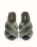 AUSTRALIAN SHEPHERD® LINTY LIMITED EDITION