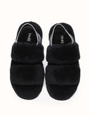 AUSTRALIAN SHEPHERD® Lonnie