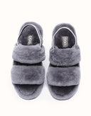 AUSTRALIAN SHEPHERD® Lonnie