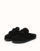 AUSTRALIAN SHEPHERD® Remi