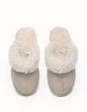 AUSTRALIAN SHEPHERD® Waffle Curly