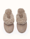 AUSTRALIAN SHEPHERD® Waffle Curly