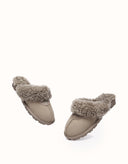 AUSTRALIAN SHEPHERD® Waffle Curly