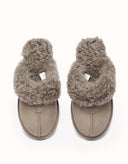 AUSTRALIAN SHEPHERD® Waffle Curly