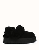 AUSTRALIAN SHEPHERD® Suzie Platform