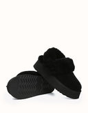 AUSTRALIAN SHEPHERD® Suzie Platform