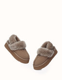 AUSTRALIAN SHEPHERD® Suzie Platform