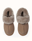 AUSTRALIAN SHEPHERD® Suzie Platform