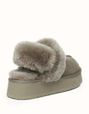 AUSTRALIAN SHEPHERD® Suzie Platform