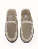 AUSTRALIAN SHEPHERD® Sophia