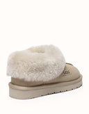 AUSTRALIAN SHEPHERD® Homey Special